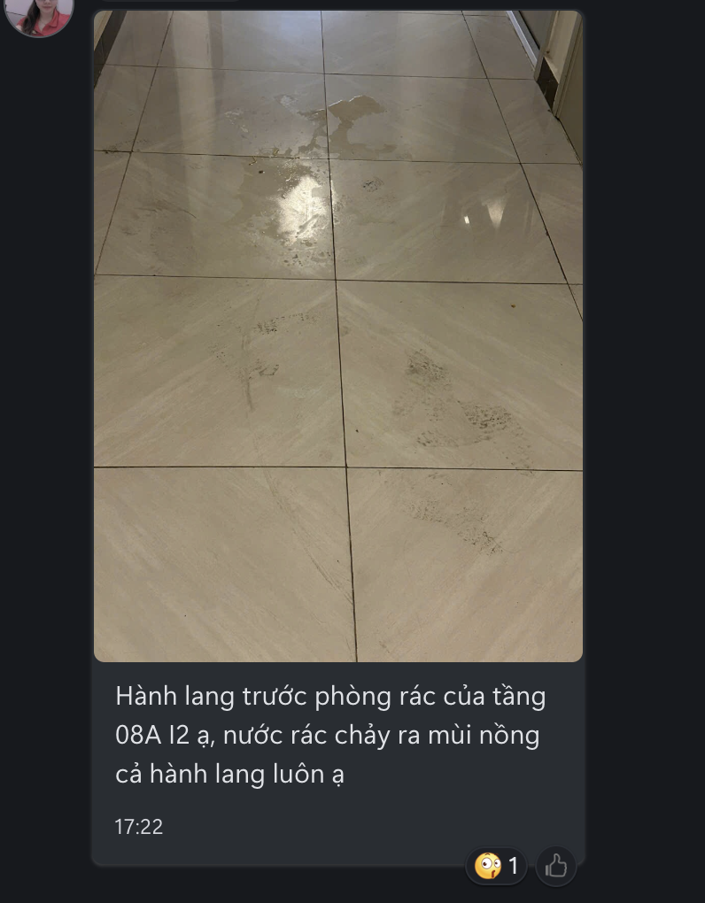 Ảnh 1