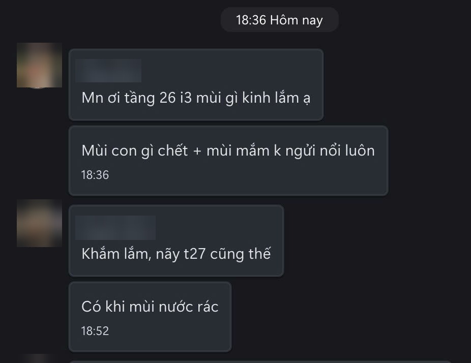 Ảnh 1